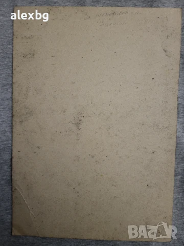 Вера Лукова картина рисувана с въглен размер 35х24.5см, снимка 2 - Картини - 50596464