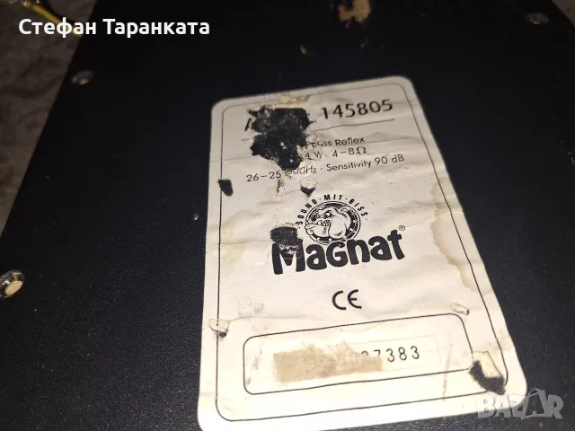 Двоен двулентов филтър от суббуфер Magnat , снимка 4 - Тонколони - 56261707