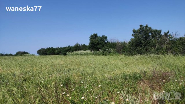 Парцел УПИ, с. Бяло поле, общ. Опан, обл. Стара Загора , снимка 5 - Парцели - 39527875