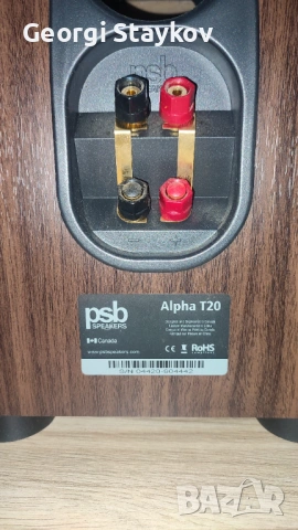 Подовостоящи тонколони Psb - T20 - перфектно състояние , снимка 5 - Тонколони - 53608545