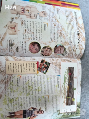 Човекът- книга за човешкото тяло, снимка 6 - Енциклопедии, справочници - 51647953