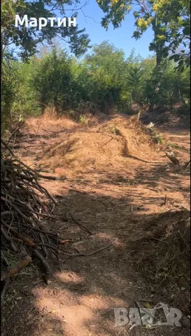 Предлагам помощ с непосилни задачи в двора, лозето или градината в област Плевен, снимка 2 - Други почистващи услуги - 55834234