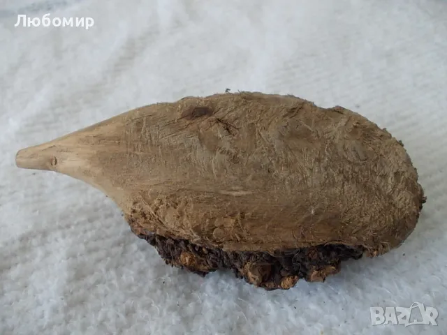 Семейство таралежи - от природата, снимка 9 - Колекции - 47343035