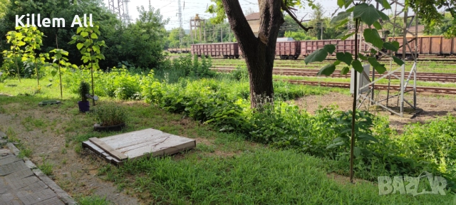 Косене на тревни площи и храсти, снимка 5 - Други услуги - 52864157