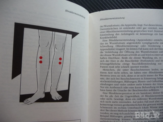 Акупресурата работи веднага: облекчаване на болката без лекарства вълк Ебнър Немски език, снимка 2 - Специализирана литература - 51051378