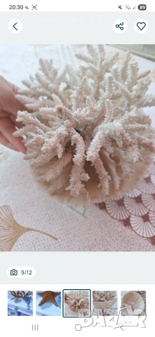 Морски артикули декорация , снимка 9 - Други - 53250087