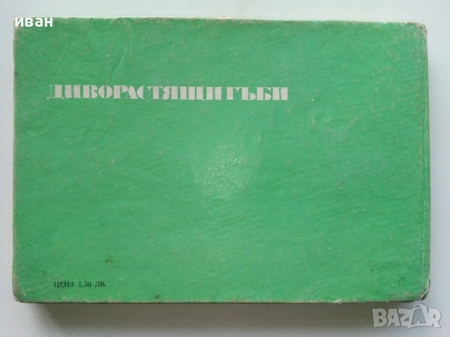 Диворастящите гъби - Н.Колев,Аф.Охапкин - 1974г., снимка 7 - Енциклопедии, справочници - 51999994