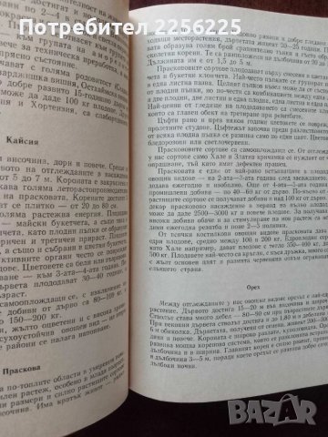 Справочник по овощарство, снимка 3 - Специализирана литература - 50611382