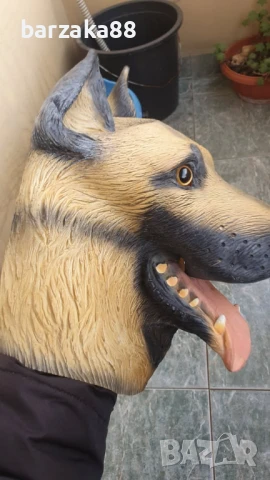 Маска на куче, Латекс, снимка 4 - Подаръци за мъже - 51262835