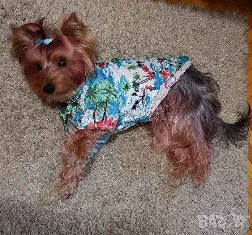 Ризки за кучета и котки. Дрехи за кучета. Блузка за куче. Кучешки дрехи. Ризка за куче , снимка 11 - За кучета - 33238774