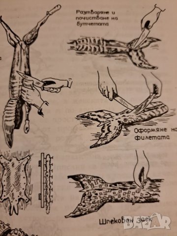 Дивеч, риба, мекотели, снимка 4 - Други - 48776799