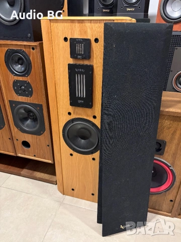 Infinity -Renaissance 80