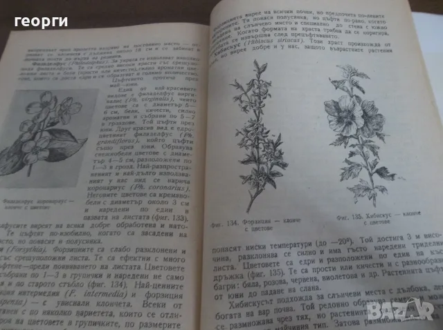 Книга за градиняря, снимка 8 - Други - 55780585