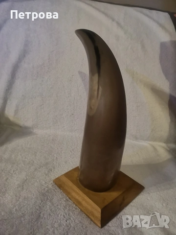 Колекционерски рог от говедо. , снимка 2 - Колекции - 53748819