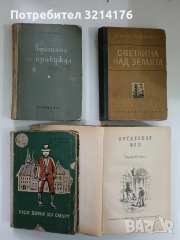 Студеният дом - Чарлс Дикенс , снимка 2 - Художествена литература - 52661159