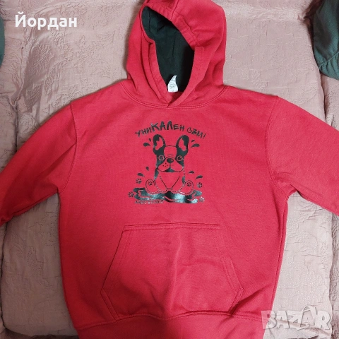 Анди Студио Мърч - Худи 10 год, снимка 2 - Детски анцузи и суичери - 53133599