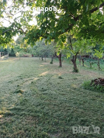 Продавам парцел в село Балван,област В.Търново., снимка 1 - Парцели - 50557427