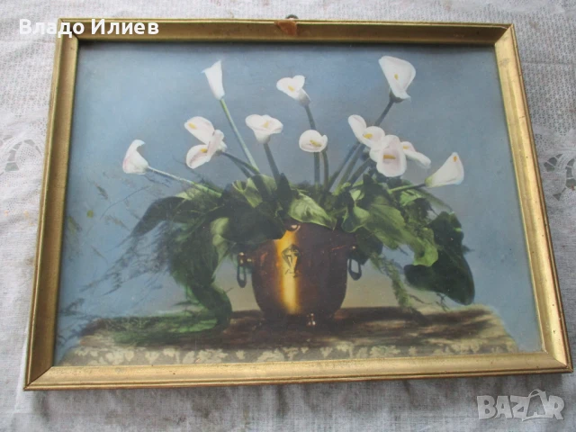 Картини различни, снимка 11 - Картини - 46311075