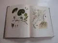 Книга Фитотерапия Лечение с Билки Йорданов 1966, снимка 6