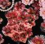 20 цветя роза божур самозалепващи лепенки стикери декор ръчна изработка украса, снимка 7