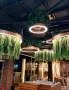 Рингове с LED осветление и висящи изкуствени растения, снимка 4