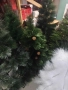 елхи , снимка 7