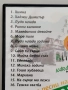 Да запеем любимите песни на България, караоке, снимка 3