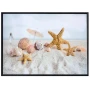Картина Морска звезда с рамка, 60*80 см Код P960, снимка 3