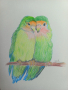 Влюбени папагали - картина с моливи