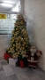 Елха „Коледата от едно време“ + БЕЗПЛАТНА ДОСТАВКА + ПОДАРЪЦИ, снимка 3