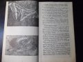 Книга "Храната и хората - Димо Божков" - 30 стр., снимка 4