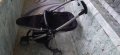 Quincy Extra Zap детска количка , снимка 7