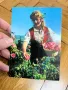 Пощенска картичка Розоберачка - използвана , снимка 1