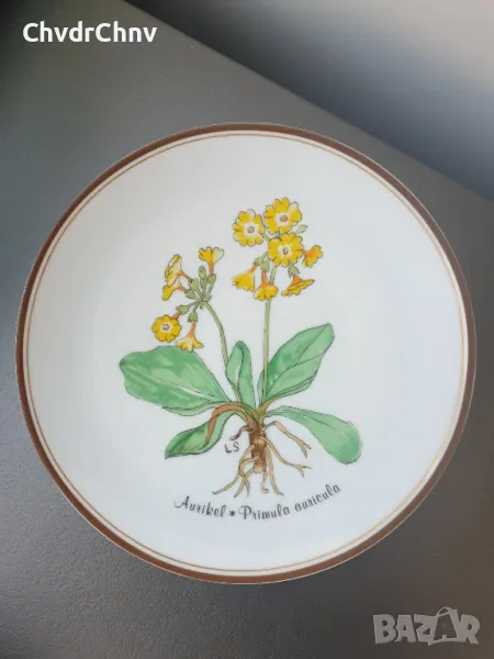 6бр Rosenthal Розентал стара немска колекционерска декоративна порцеланова чиния-картина/цветя, снимка 1