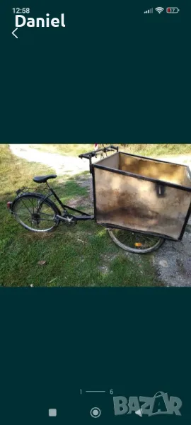 Холандска триколка, снимка 1