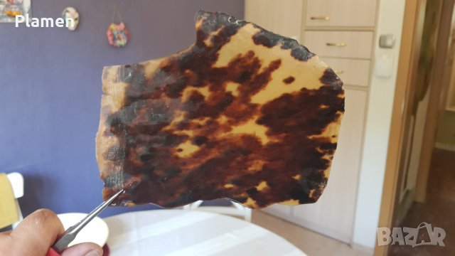 Плочка от костенурка за изработка на бижута., снимка 2 - Бижутерийни комплекти - 41650549