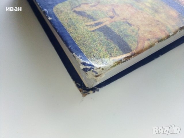 Албум за растения и животни - Н.Боев,С.Петров,П.Кръстев - 1976г., снимка 14 - Енциклопедии, справочници - 40616804