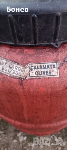 Бидони от маслини , снимка 4 - Бидони, бурета и бъчви - 51802690