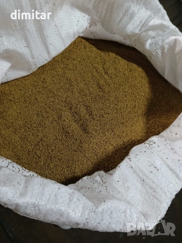 Семе люцерна , снимка 2 - Сортови семена и луковици - 52070826