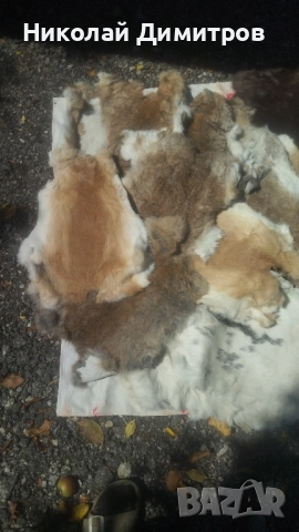 Заешки кожи обработени в кожарска за фабрика Велур . При покупка над 5 кожи безплатна доставка., снимка 5 - Други - 51549805