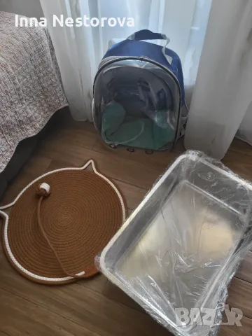 Персийски котарак , снимка 4 - Персийска - 55937868