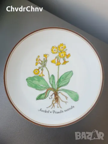 6бр Rosenthal Розентал стара немска колекционерска декоративна порцеланова чиния-картина/цветя