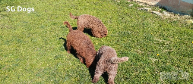 продавам лагото, снимка 10 - Други - 53779021