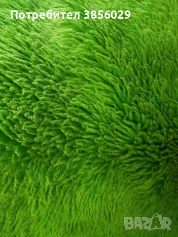 китеник от соца