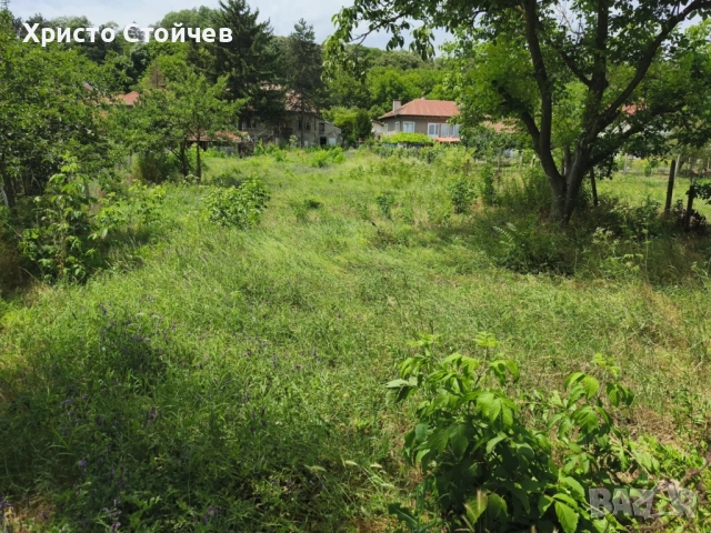 Рязане, кастрене, почистване на терени, снимка 15 - Други услуги - 51964497