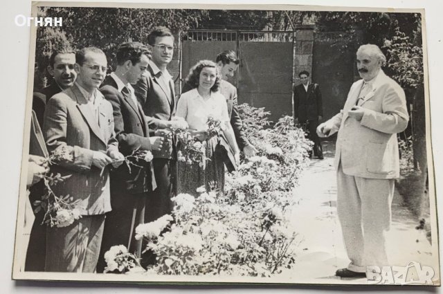 Снимки Георги Димитров