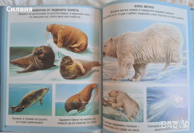 Детска енциклопедия за животни, снимка 2 - Енциклопедии, справочници - 41565352