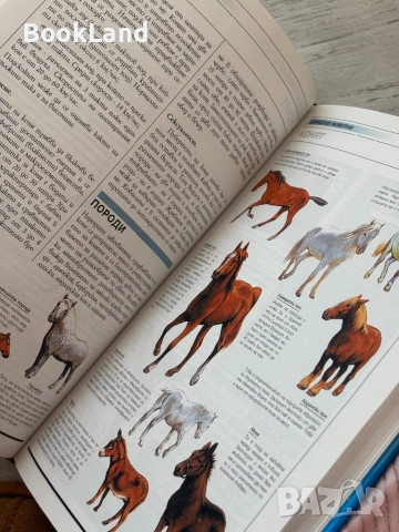 Енциклопедии Larousse| История на света, Флора и фауна, Световен атлас, Детска енциклопедия , снимка 7 - Детски книжки - 52477396