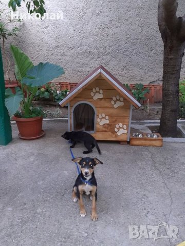 кучешка къща, снимка 13 - За кучета - 20489349