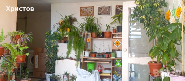 Едностаен до Албена, снимка 10 - Апартаменти - 51659576